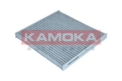 KAMOKA F518801