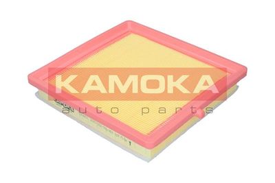 KAMOKA F243901