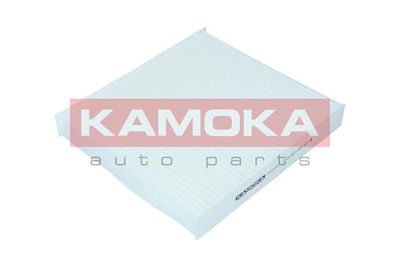 KAMOKA F419701