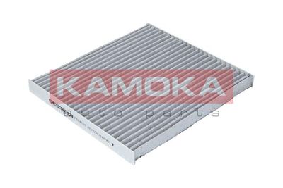 KAMOKA F504101