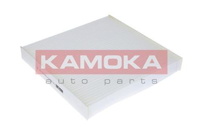 KAMOKA F411301