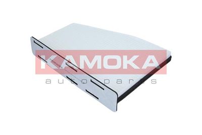 KAMOKA F401601