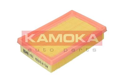 KAMOKA F250201