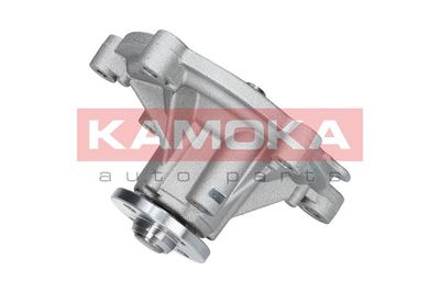 KAMOKA T0194 KAMOKA T0194