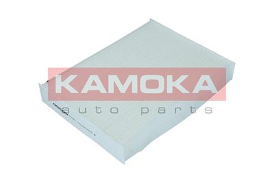 KAMOKA F419301