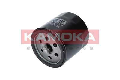 KAMOKA F113101