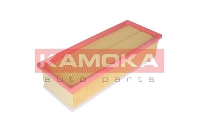 KAMOKA F229701