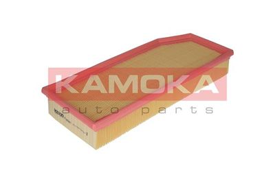 KAMOKA F209801