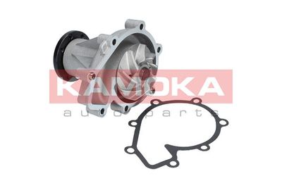 KAMOKA T0181