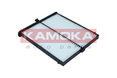 KAMOKA F418601 KAMOKA F418601