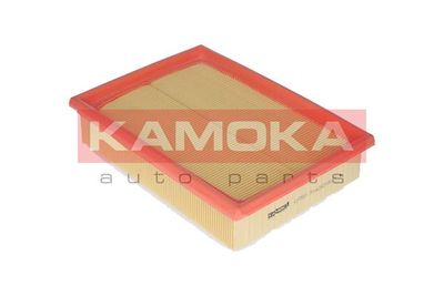 KAMOKA F218501