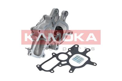 KAMOKA T0267