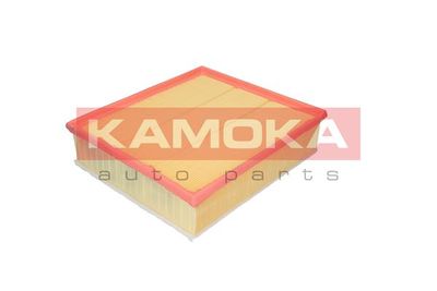 KAMOKA F212501