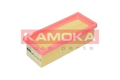 KAMOKA F228701