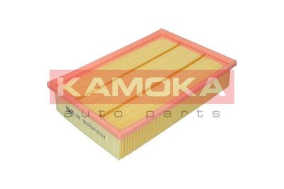 KAMOKA F247801
