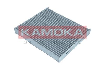 KAMOKA F517701