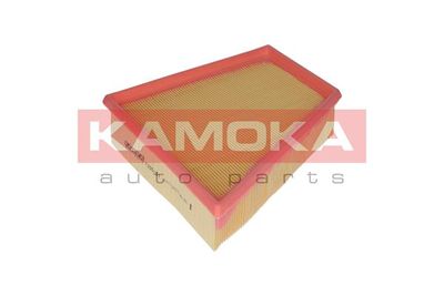 KAMOKA F205101