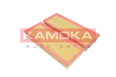 KAMOKA F227201