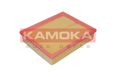 KAMOKA F225001