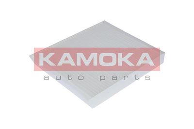 KAMOKA F405401