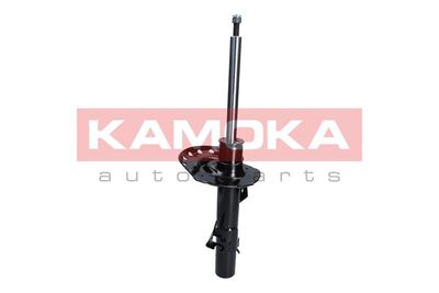 KAMOKA 2000041