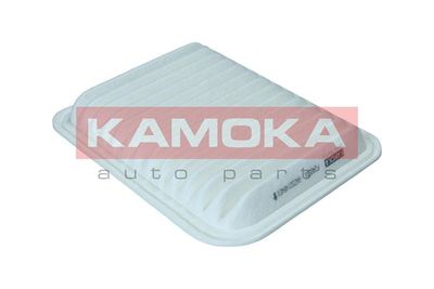 KAMOKA F246501