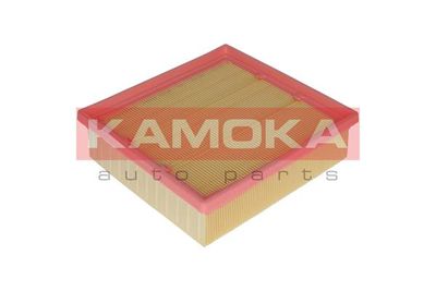 KAMOKA F222001
