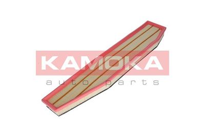 KAMOKA F218701