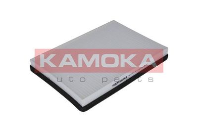 KAMOKA F401501