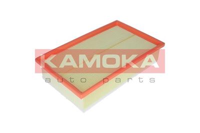 KAMOKA F231701