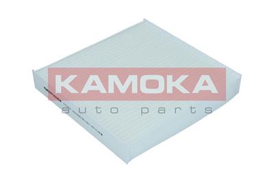 KAMOKA F418701
