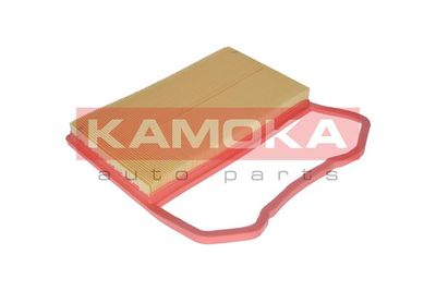 KAMOKA F233801