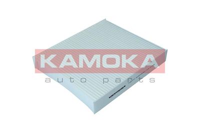 KAMOKA F403101