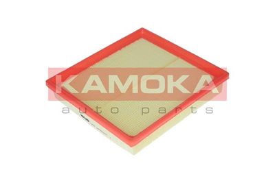 KAMOKA F218201