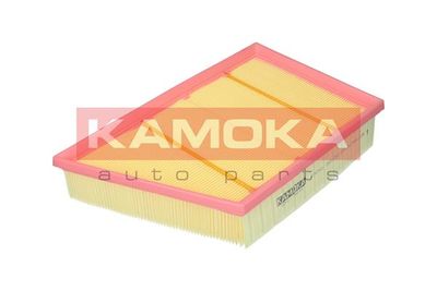 KAMOKA F247901