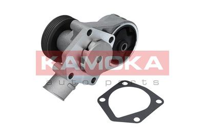 KAMOKA T0258