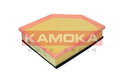 KAMOKA F249601