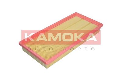 KAMOKA F224101