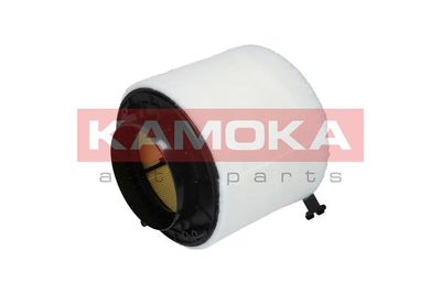 KAMOKA F215701