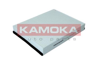 KAMOKA F421601