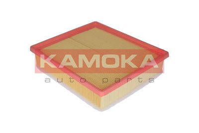 KAMOKA F209701