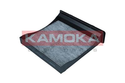 KAMOKA F519801