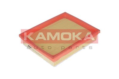 KAMOKA F221901
