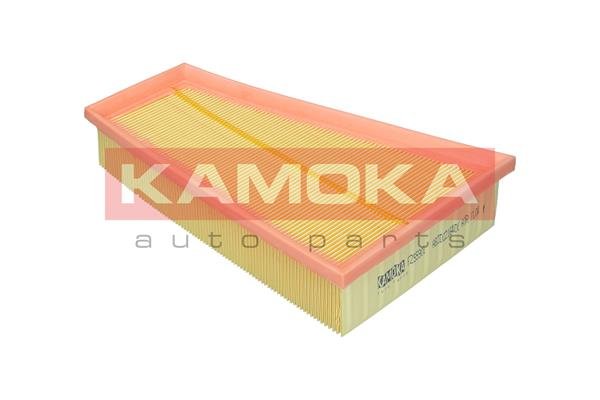 KAMOKA F255901