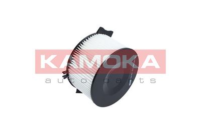 KAMOKA F401401