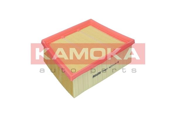 KAMOKA F258001