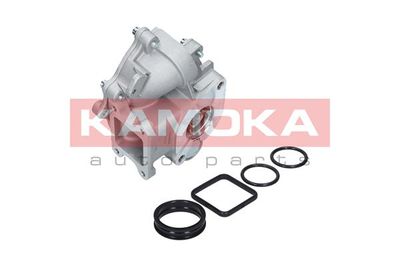 KAMOKA T0049