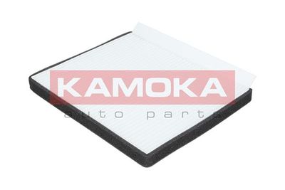 KAMOKA F415501