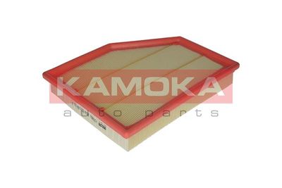 KAMOKA F219501