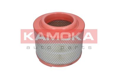 KAMOKA F236201